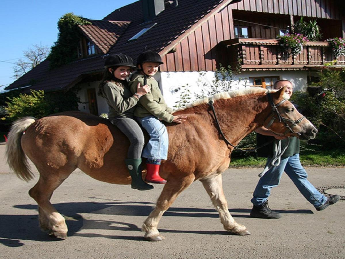 Ferienwohnung Franzenhof Markhart Deggenhausertal Exterior foto